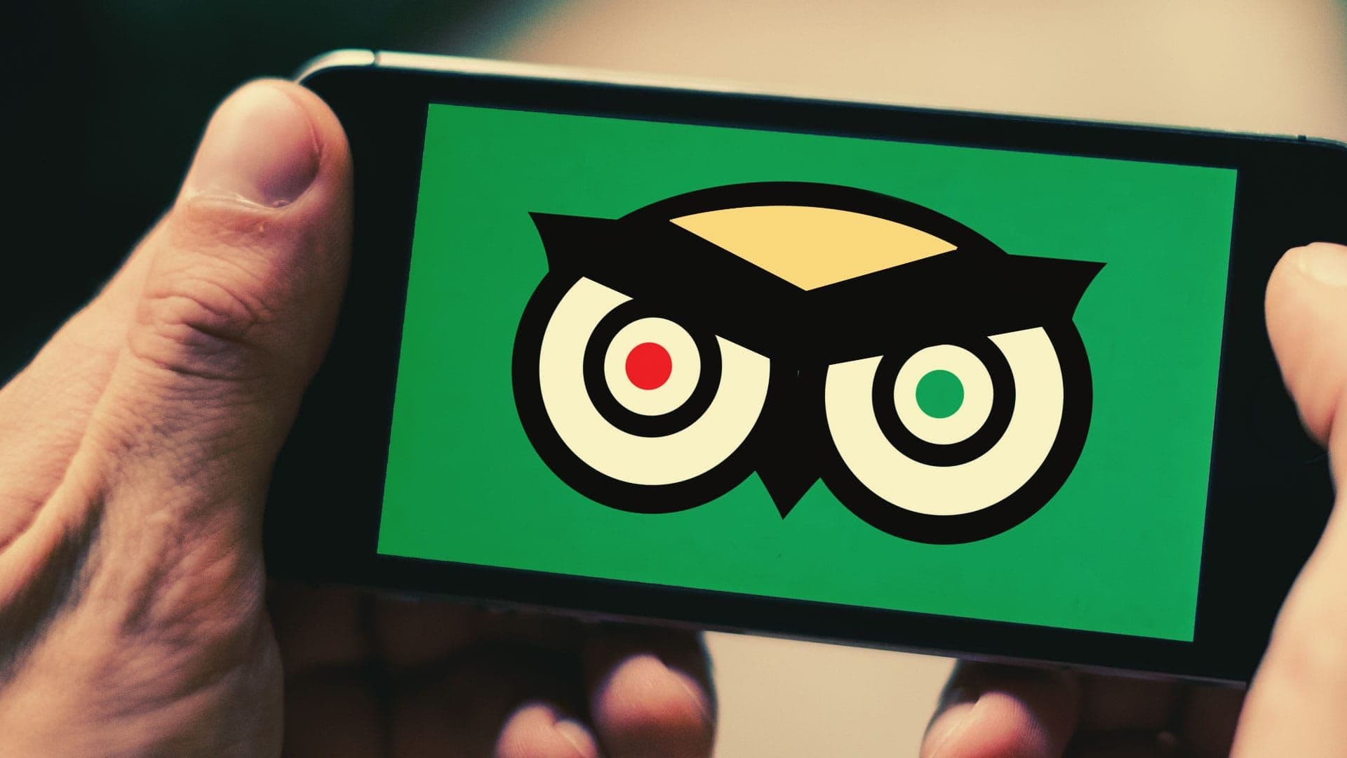 Australian Company Fined $3 Million for Masking TripAdvisor Reviews