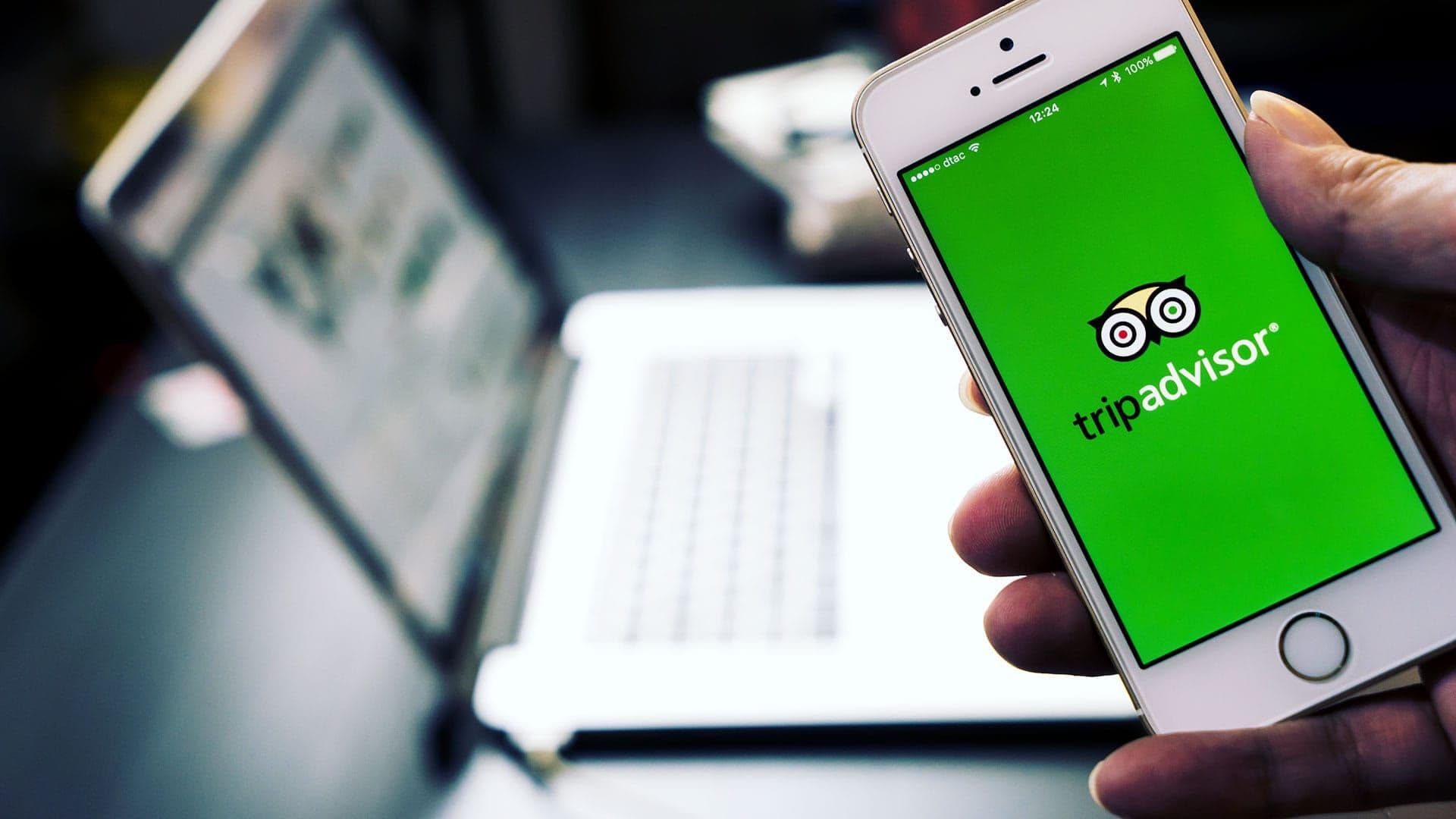 TripAdvisor Influences Over 10% of all Tourism Spending!