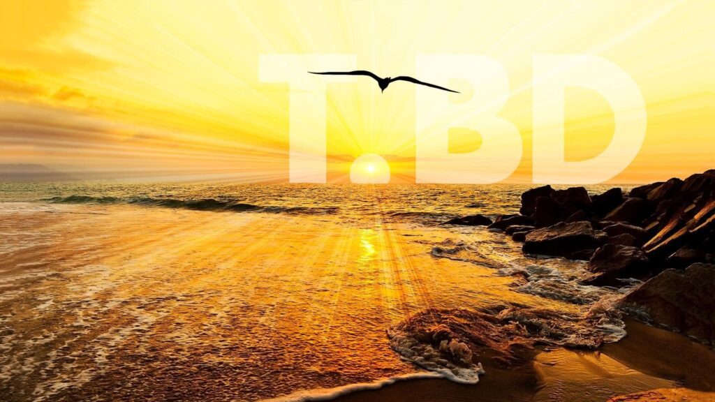 Google’s Touring Bird App Takes Flight